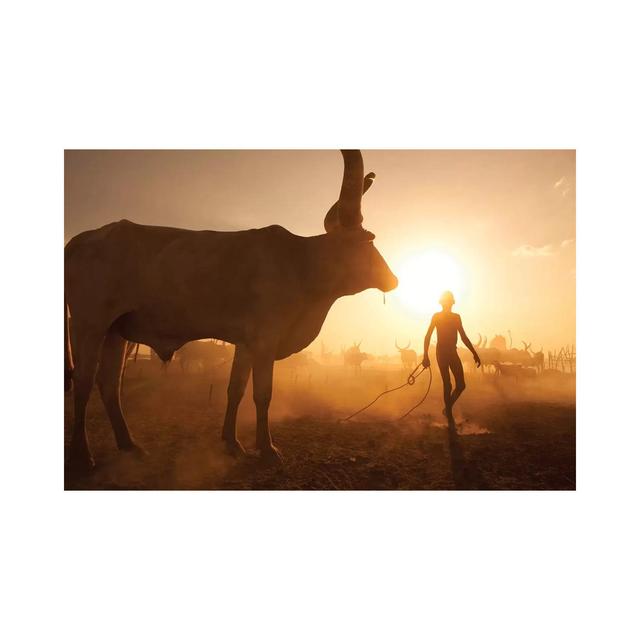 Saving the Cows by Hesham Alhumaid - Wrapped Canvas Graphic Art Natur Pur Size: 66.04cm H x 101.6cm W x 1.9cm D on Productcaster.