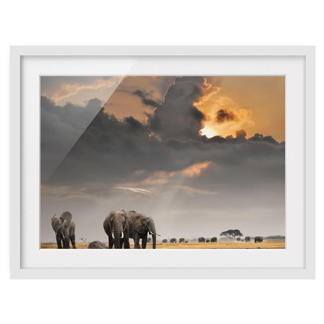 Elephants of the Savannah Framed Photographic Art Print East Urban Home Size: 70cm H x 100cm W, Rahmenoptionen: Matt white on Productcaster.