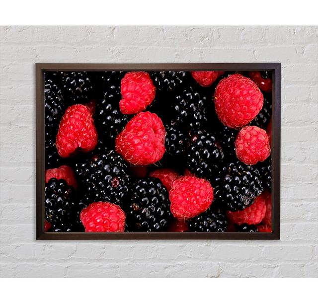 Himbeeren und Brombeeren - Einzelner Bilderrahmen Kunstdrucke auf Leinwand Ebern Designs Größe: 59,7 cm H x 84,1 cm B x 3,3 cm T on Productcaster.