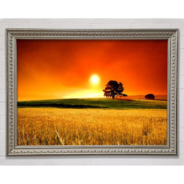 Summer Sunset Framed Print Bright Star Size: 100cm H x 141.4cm W on Productcaster.