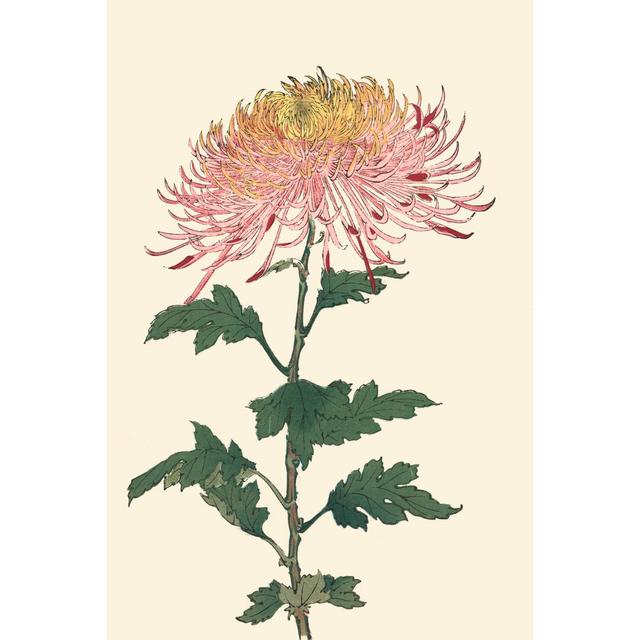 Chrysanthemum Woodblock II - Wrapped Canvas Art Print Rosalind Wheeler Size: 30cm H x 20cm W on Productcaster.