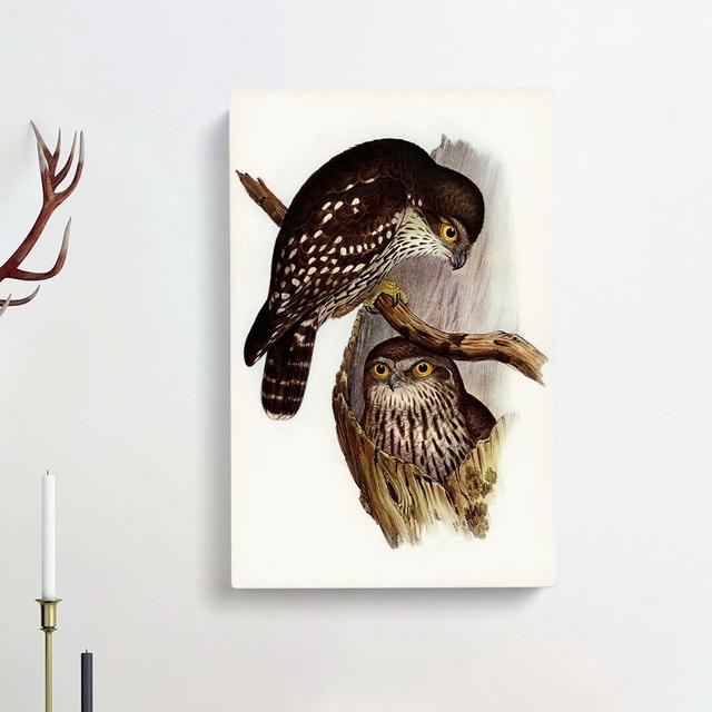 Winking Owls by Elizabeth Gould - Wrapped Canvas Print East Urban Home Size: 60cm H x 40cm W x 3cm D on Productcaster.