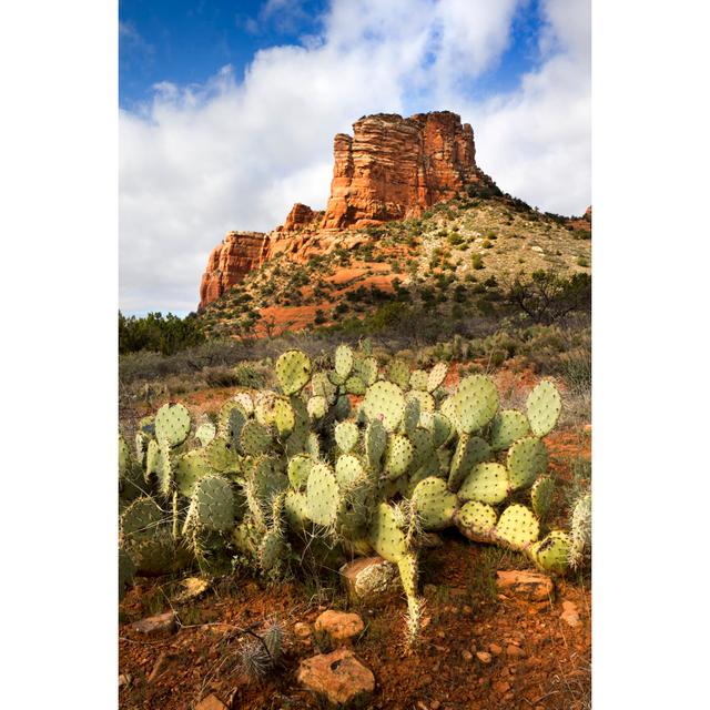 Sedona Arizona by Ricardoreitmeyer - Wrapped Canvas Art Prints Alpen Home Size: 120cm H x 80cm W on Productcaster.