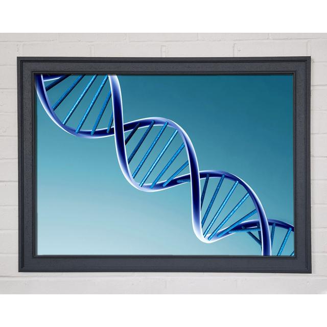 Twin Helix Framed Print - Picture Frame Photograph on Canvas Ivy Bronx Size: 29.7cm H x 42cm W x 1.5cm D, Format: Natural Framed Paper on Productcaster.