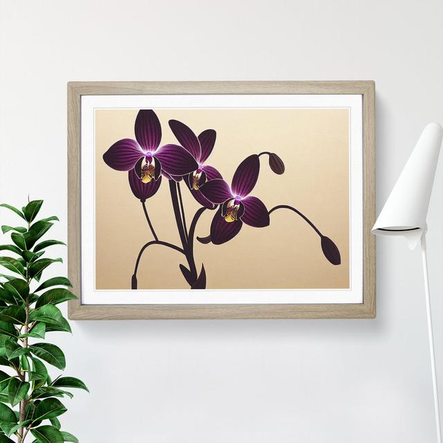 Striking Orchid Flowers - Picture Frame Graphic Art Marlow Home Co. Size: 46cm H x 64cm W x 2cm D, Frame Colour: Oak on Productcaster.