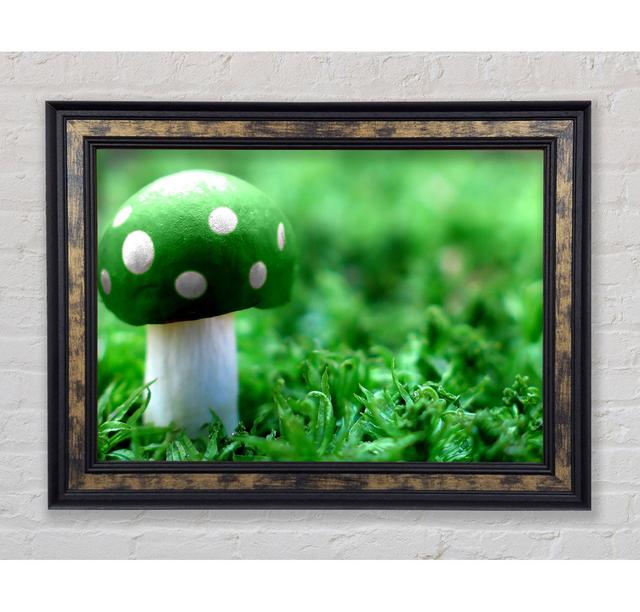 Single Picture Frame Art Prints Bright Star Size: 59.7cm H x 84.1cm W on Productcaster.