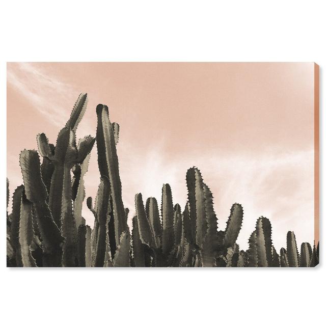 'Dream Landscape Cactus Desert' Print on Canvas East Urban Home Size: 61cm H x 91cm W on Productcaster.