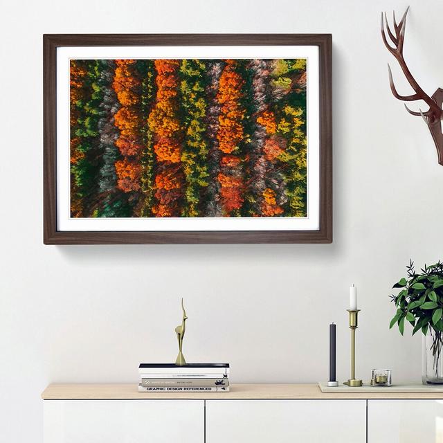 Autumn Forest Stripes - Picture Frame Graphic Art Print East Urban Home Frame Option: Walnut Framed, Size: 62cm H x 87cm W x 2cm D on Productcaster.