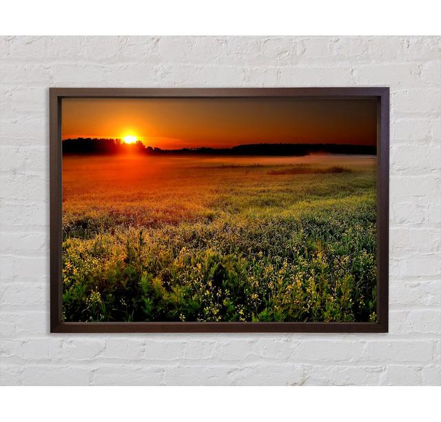 Sunset over the Field - Single Picture Frame Art Prints on Canvas Bright Star Size: 59.7cm H x 84.1cm W x 3.3cm D on Productcaster.