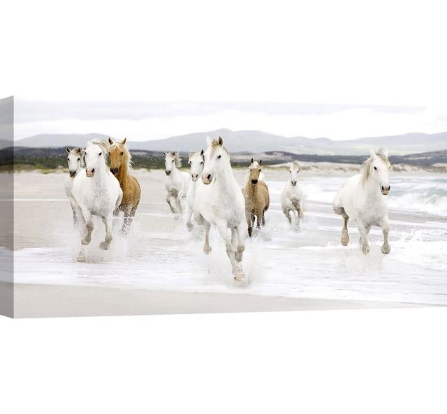 Horses on the Beach - Wrapped Canvas Photograph Print Ebern Designs Size: 35cm H x 70cm W on Productcaster.