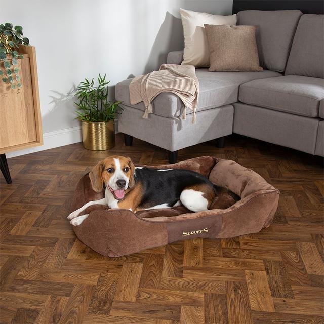 Chester Polyester Pet Bed Scruffs Size: 22cm H x 90cm W x 70cm D, Colour: Chocolate/Tan on Productcaster.