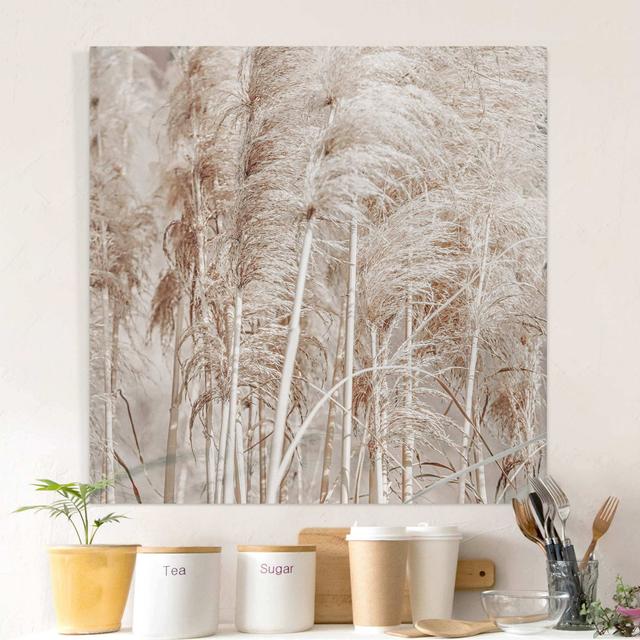 Warm Pampas Grass in Summer - Wrapped Canvas Graphic Art Ebern Designs on Productcaster.