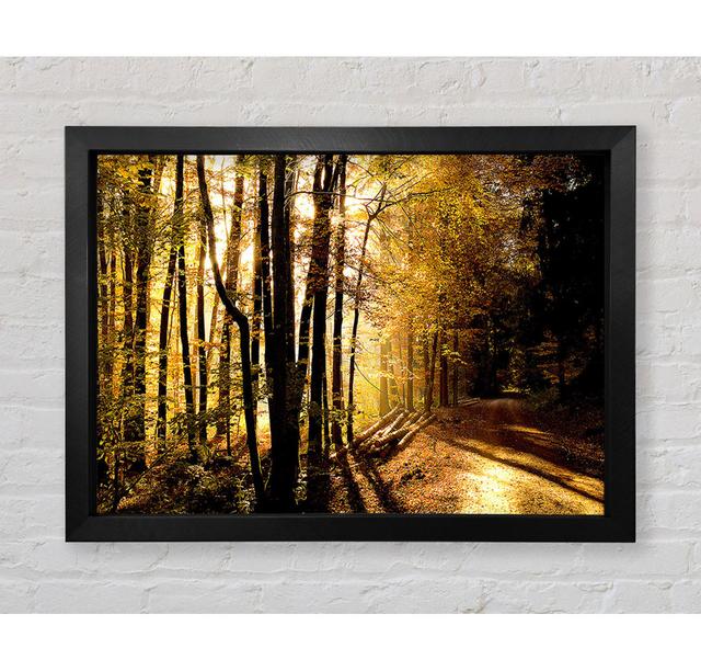 Beautiful Forest Road Autumn - Print Union Rustic Size: 59.7cm H x 84.1cm W x 3.4cm D, Format: Black Framed Paper on Productcaster.