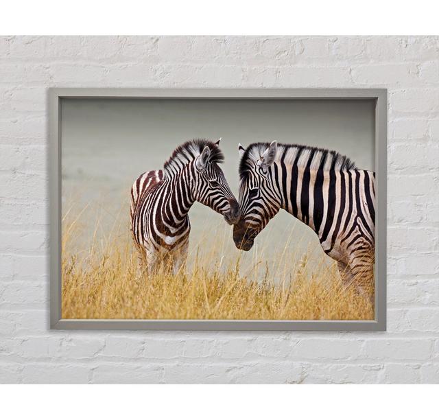 Mutter und Baby Zebra - Einzelner Bilderrahmen Kunstdrucke auf Leinwand Bright Star Größe: 100 cm H x 141,4 cm B x 3,3 cm T on Productcaster.