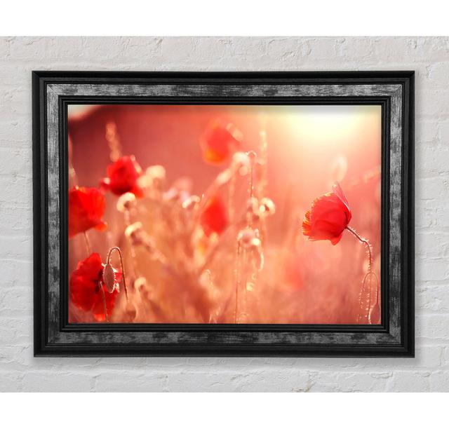 Summer Light - Single Picture Frame Art Prints Bright Star Size: 29.7cm H x 42cm W x 8cm D on Productcaster.