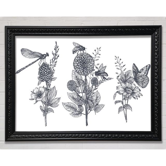 Britain's Dragonfly And Plants Framed Print Bright Star Size: 29.7cm H x 42cm W on Productcaster.