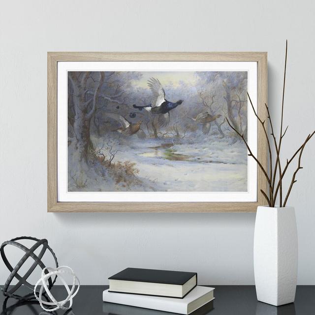 Blackcock and Grouse in Flight by Archibald Thorburn - Picture Frame Painting East Urban Home Size: 36cm H x 48cm W x 2cm D, Frame Option: Oak Framed on Productcaster.