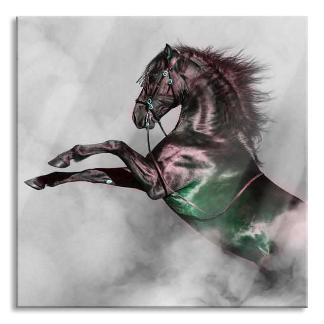 Black Horse Soars In The White Fog - No Frame Print on Glass Gracie Oaks Size: 70cm H x 70cm W x 0.4cm D on Productcaster.