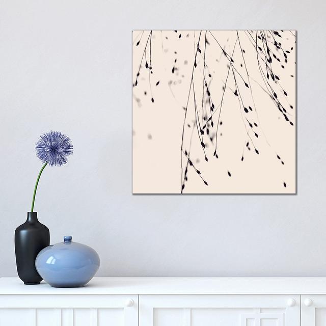 Black Grass Blush Square by Monika Strigel - Wrapped Canvas Print ClassicLiving Size: 45.72cm H x 45.72cm W x 3.81cm D on Productcaster.