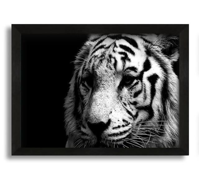 Tiger Black and White - Picture Frame Photograph on Canvas Latitude Run Size: 42cm H x 60cm W x 10cm D on Productcaster.