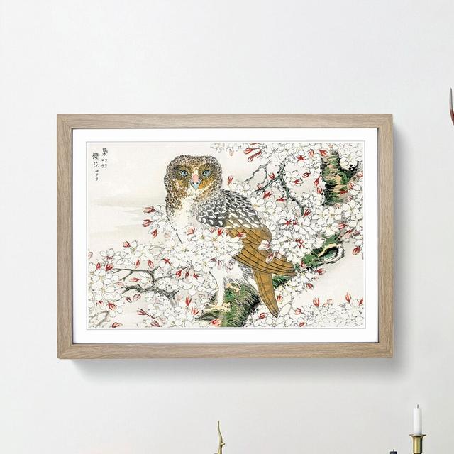 Short-Eared Owl & Cherry Flower by Numata Kashu - Picture Frame Painting Print East Urban Home Format: Oak, Size: 60cm H x 91cm W x 2cm D on Productcaster.