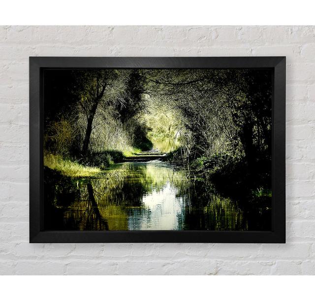 Forest Waterway - Print Union Rustic Size: 42cm H x 59.7cm W x 3.4cm D, Format: Black Framed Paper on Productcaster.