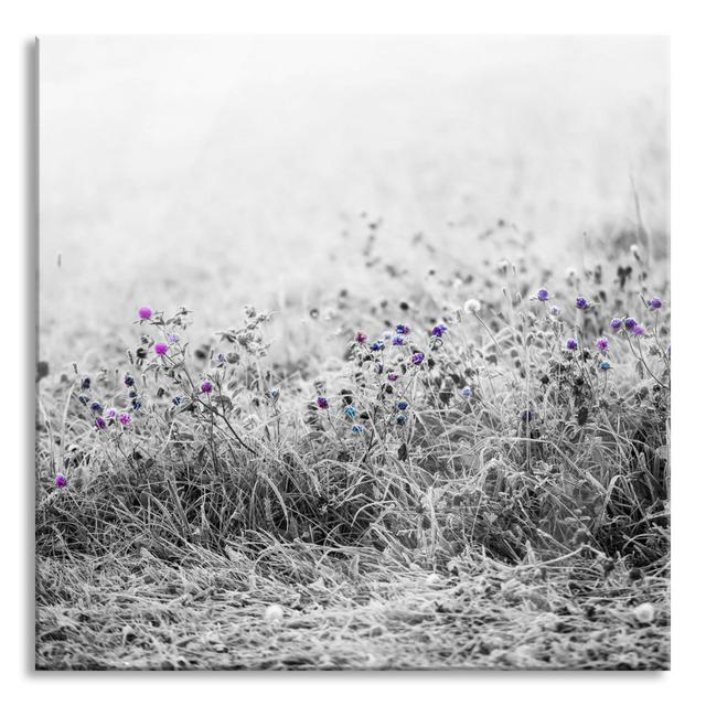 Thistle Field Retro Look - Unframed Photograph on Glass Rosalind Wheeler Size: 60cm H x 60cm W x 0.4cm D on Productcaster.