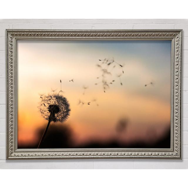 Dandellion Seeds Floating - Single Picture Frame Art Prints Bright Star Size: 29.7cm H x 42cm W on Productcaster.