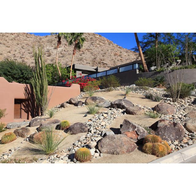 Desert Residential Landscaping by Constantgardener - No Frame Art Prints on Canvas Natur Pur Size: 81cm H x 122cm W on Productcaster.