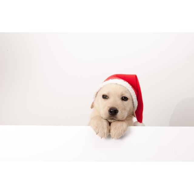 Golden Retriever Santa Puppy - Wrapped Canvas Art Prints The Seasonal Aisle Size: 61cm H x 91cm W x 3.8cm D on Productcaster.