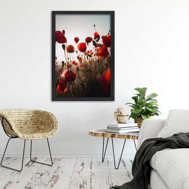 Gerahmtes Poster Poppies in the Sun 17 Stories Größe: 45 cm H x 30 cm B x 2 cm T on Productcaster.