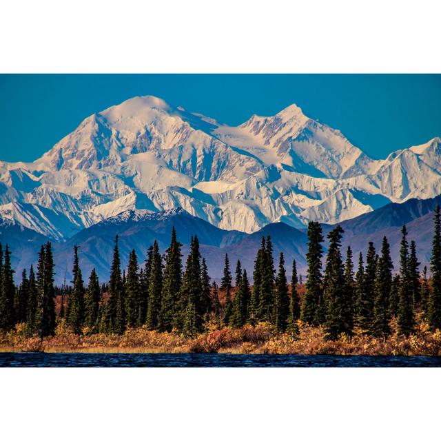 Denali, Alaska - Wrapped Canvas Print Alpen Home Size: 122cm H x 122cm W x 3.8cm D on Productcaster.