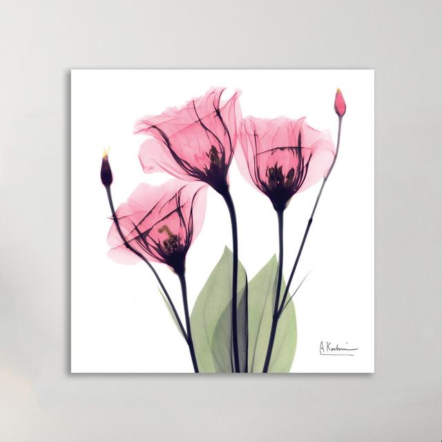 Gentian Faith - Wrapped Canvas Graphic Art Print East Urban Home Size: 76 cm H x 76 cm W on Productcaster.