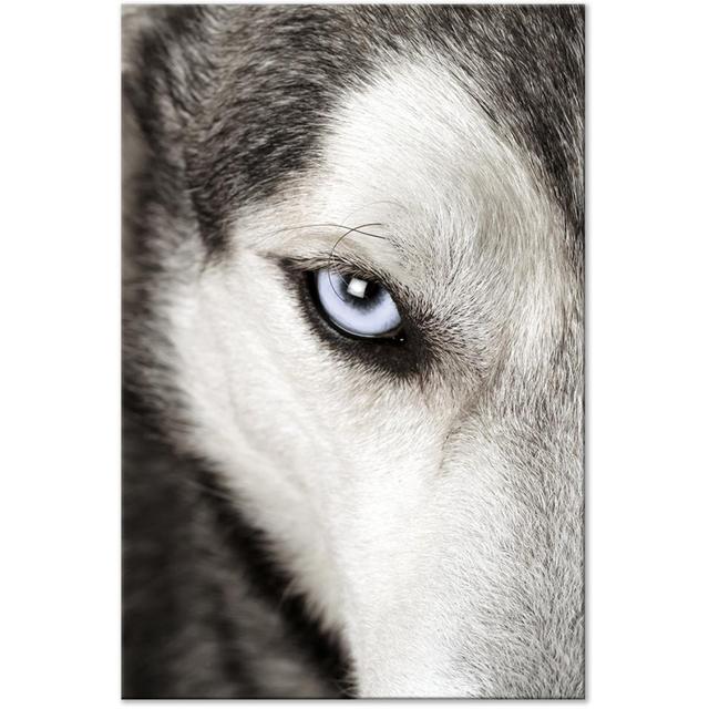 'Dog's Look' - Wrapped Canvas Photograph Print Latitude Run Size: 120cm H x 80cm W x 1.3cm D on Productcaster.