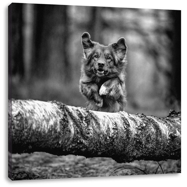 Leinwandbild Dog Jumping over Tree Trunk in Forest Ebern Designs Größe: 70 cm H x 70 cm B on Productcaster.