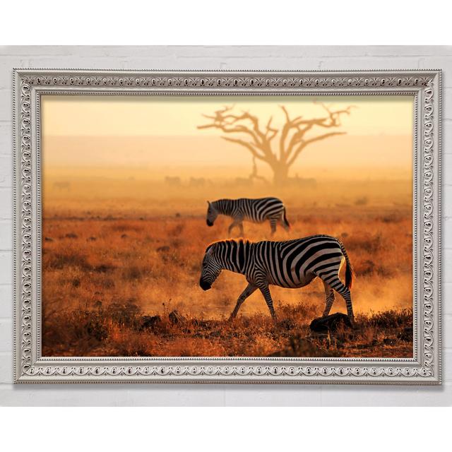 Sunset Zebra - Single Picture Frame Art Prints Bright Star Size: 84.1cm H x 118.1cm W x 3cm D on Productcaster.