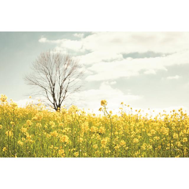 Yellow Meadow by Aledanda - Wrapped Canvas Art Prints Brambly Cottage Size: 20cm H x 30cm W x 3.8cm D on Productcaster.