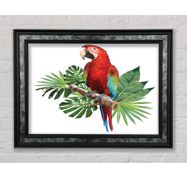 Parrot On A Branch - Single Picture Frame Art Prints Bright Star Size: 84.1cm H x 142.2cm W x 8cm D on Productcaster.