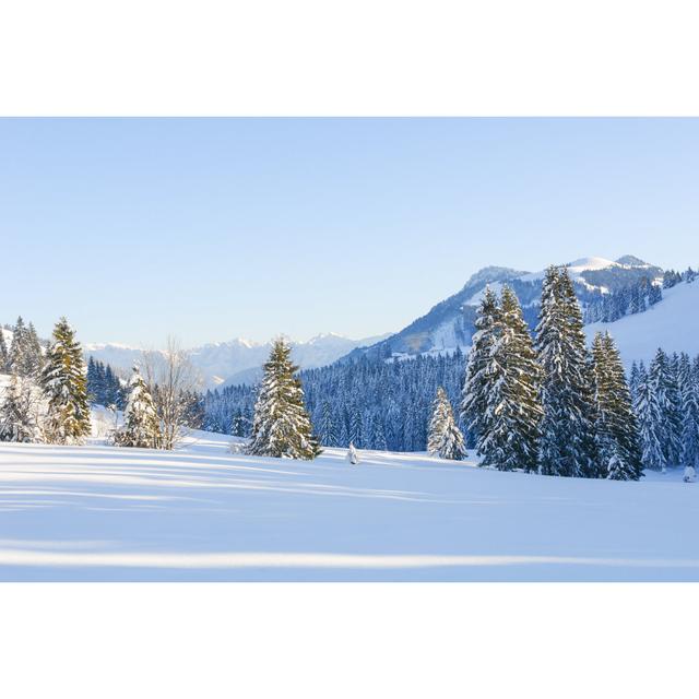 Derr Snowy Spruce Trees - Wrapped Canvas Print Alpen Home Size: 30cm H x 46cm W x 3.8cm D on Productcaster.