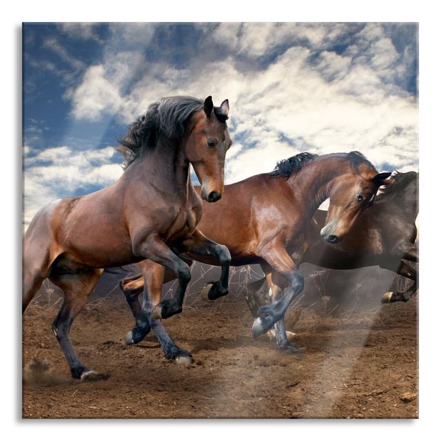 Wild Free Horses - No Frame Print on Glass Gracie Oaks Size: 80cm H x 80cm W x 0.4cm D on Productcaster.