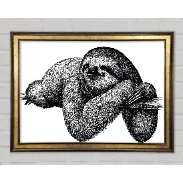 Sloth Chilling On The Branch - Single Picture Frame Art Prints Latitude Vive Size: 42.1cm H x 59.7cm W 1.5cm D on Productcaster.