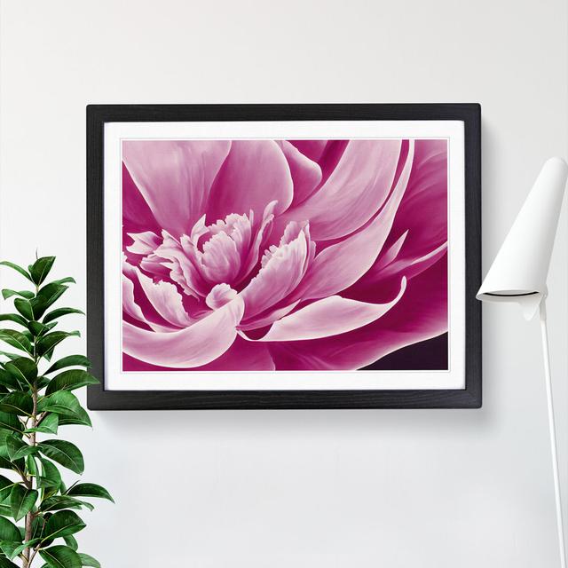 Awesome Peony Flower - Single Picture Frame Print Marlow Home Co. Frame Colour: Black, Size: 25cm H x 34cm W x 2cm D on Productcaster.