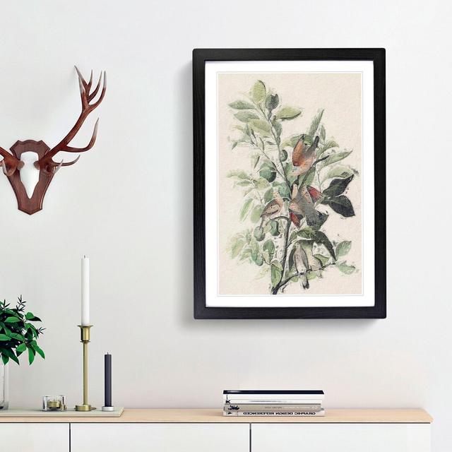 Ground Doves by John Audubon - Picture Frame Painting Print East Urban Home Frame Option: Black Framed, Size: 48cm H x 36cm W x 2cm D on Productcaster.