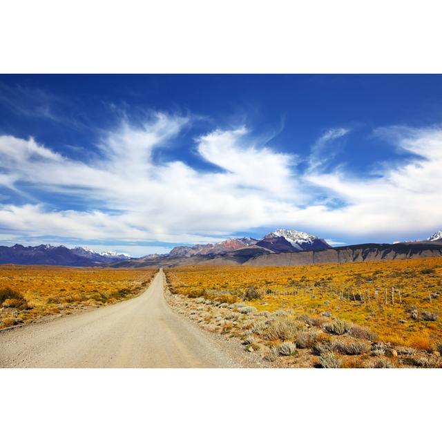 Dansville The Pampas In Patagonia by Kavram - Wrapped Canvas Photograph Alpen Home Size: 81cm H x 122cm W x 3.8cm D on Productcaster.