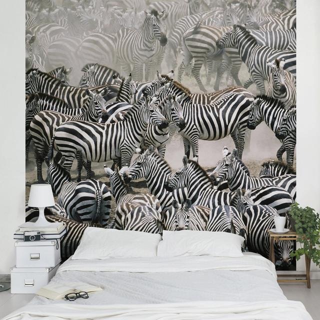 Halbglänzende Tapete Zebraherde East Urban Home Größe: 2,4 m x 240 cm, Materialqualität: Standard (110g/m²) on Productcaster.