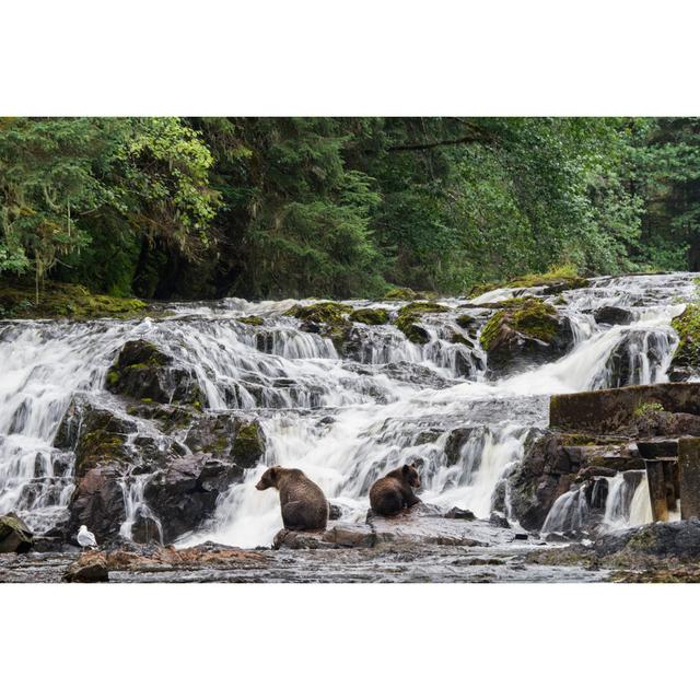 Grizzly Bears Fishing At Waterfall by Wanderluster - No Frame Art Prints on Canvas Alpen Home Size: 30cm H x 46cm W on Productcaster.