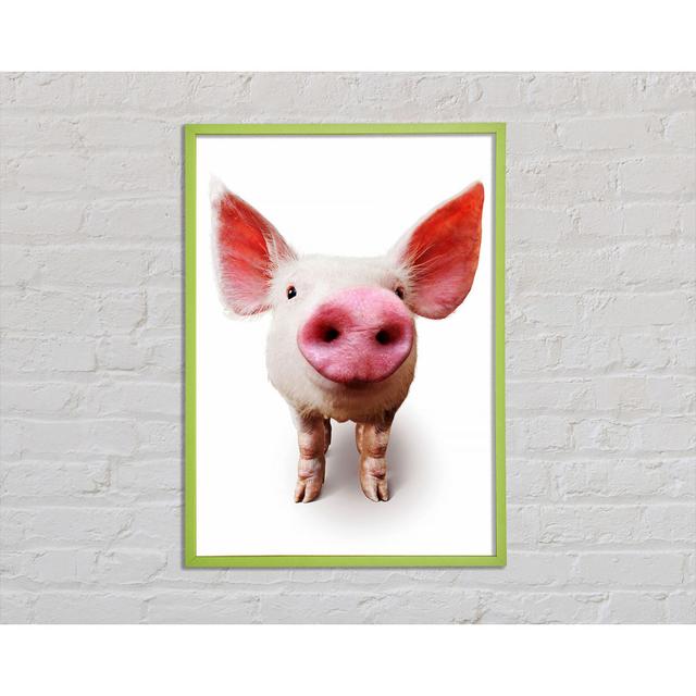 Neugieriges Schwein - Einzelner Bilderrahmen Kunstdrucke Sommerallee Größe: 21 cm H x 29,7 cm B x 2 cm T on Productcaster.