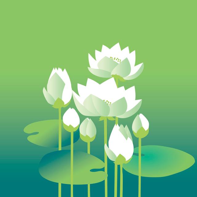 Lucee Vector Illlustration Of Lilies by Galyna_P - Print ClassicLiving Size: 91cm H x 91cm W x 3.8cm D on Productcaster.