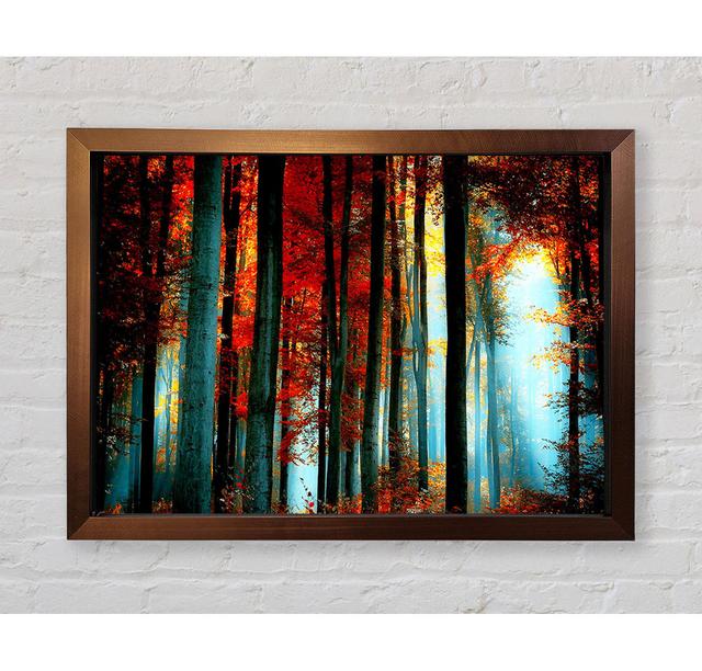 Blue Light Through The Orange Woodland Framed Print Alpen Home Size: 100cm H x 141.4cm W on Productcaster.