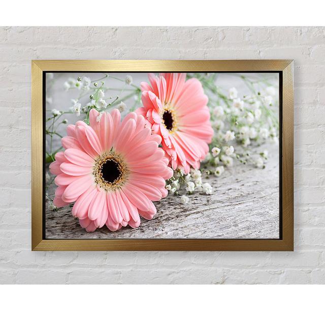 Pink Gerbera Laying Down Close - Single Picture Frame Art Prints Ebern Designs Size: 42cm H x 59.7cm W on Productcaster.